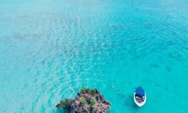 Swim with Dolphins and Ile aux Benitiers – Tamarin Bay Taxi Mauritius