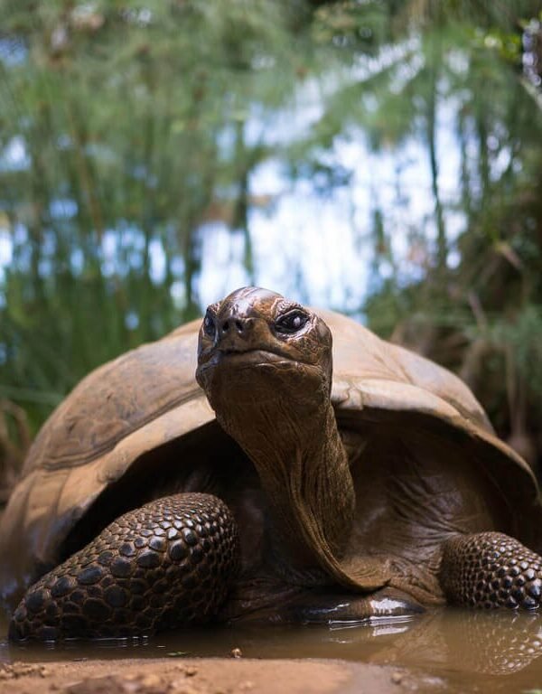 History and Culture Tour in Mauritius – Taxi Mauritius