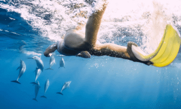 Swim with Dolphins and Ile aux Benitiers – Tamarin Bay Taxi Mauritius