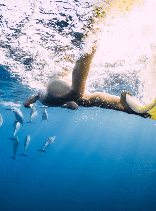 Swim with Dolphins and Ile aux Benitiers – Tamarin Bay Taxi Mauritius