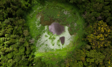 Private South Tour of Mauritius – Taxi Mauritius