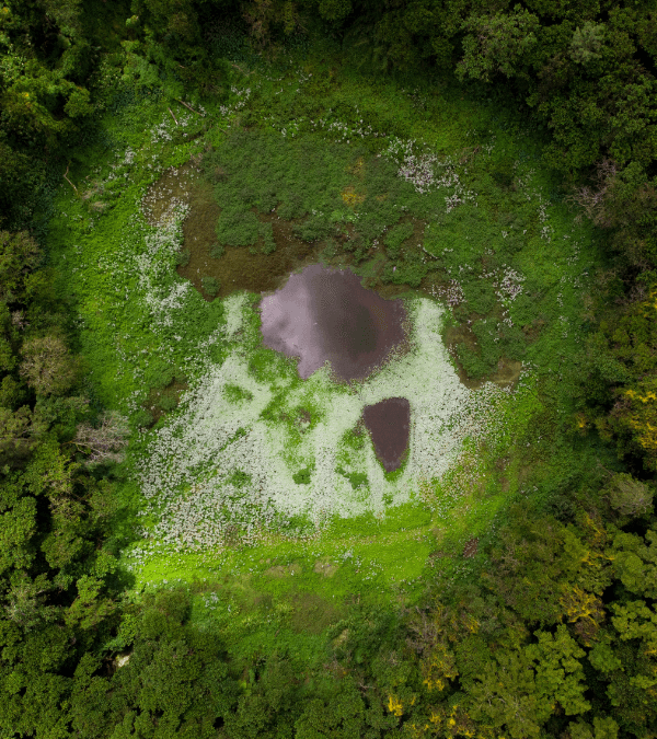 Private South Tour of Mauritius – Taxi Mauritius