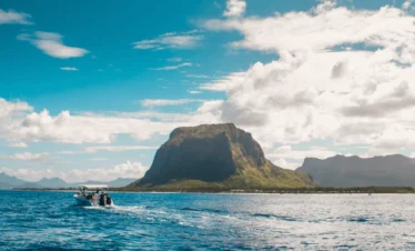 Swim with Dolphins in Mauritius – Tamarin Bay Taxi Mauritius