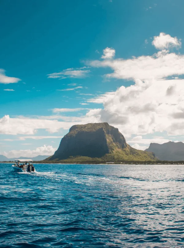 Swim with Dolphins in Mauritius – Tamarin Bay Taxi Mauritius