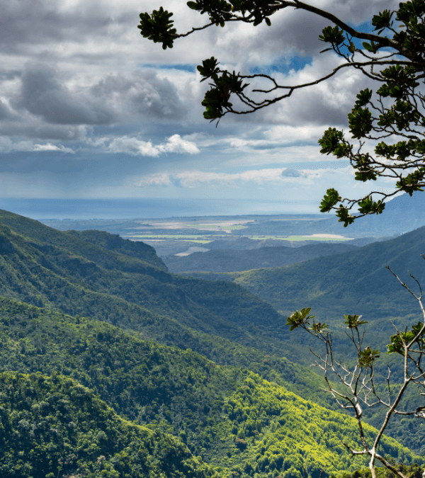 Private South Tour of Mauritius Zen Route – Taxi Mauritius