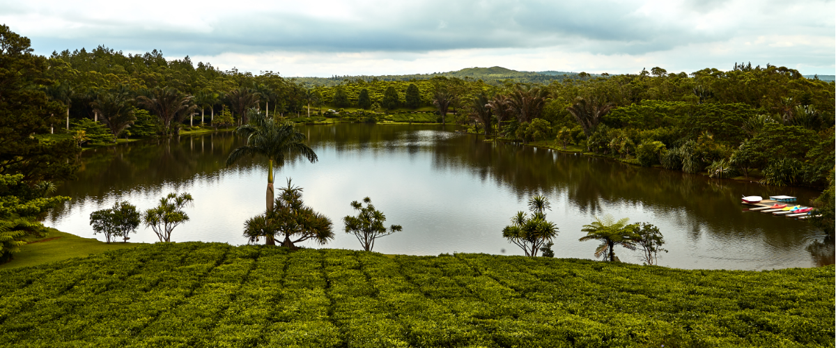 Bois Cheri - Taxis Mauritius