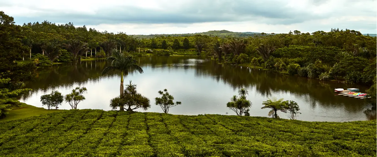 Mauritius excursions day tour with private driver