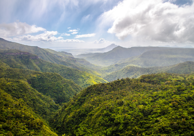 Black River Gorges - Taxis Mauritius
