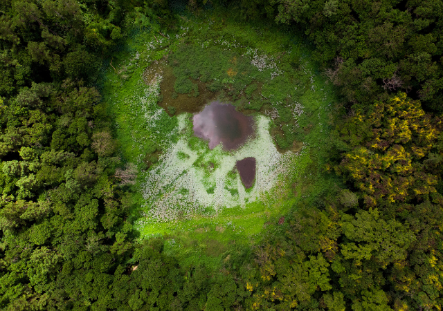 Trou Aux Cerfs Volcano - Taxis Mauritius