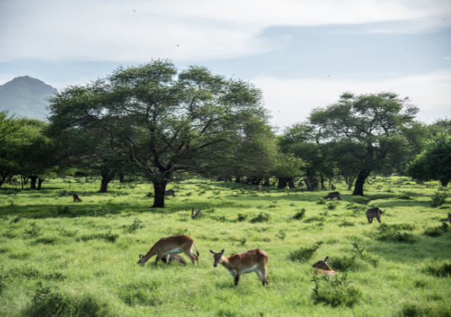 Casela Nature Park - Taxis Mauritius