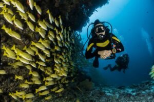 Snorkeling in Mauritius – colourful coral reef and tropical fish
